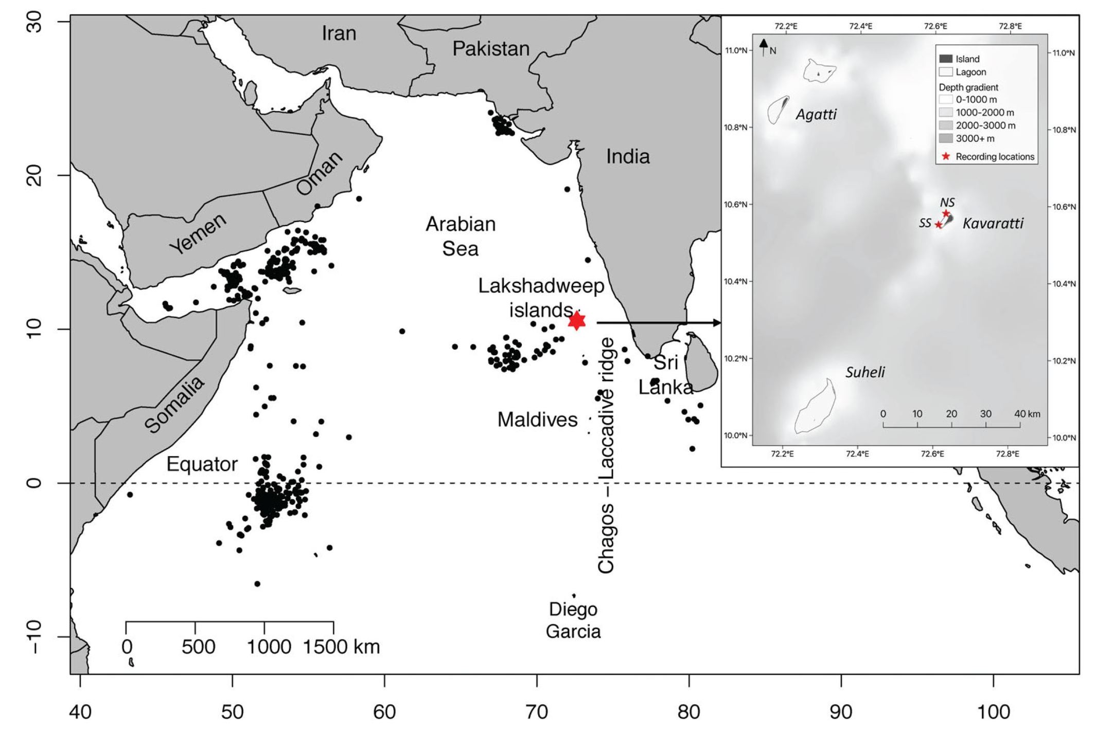 The red star shows where divers placed two underwater microphones, from late 2018 to fall 2019 and from fall 2019 to early 2020, at depths of 11 meters (36 feet) and 29 meters (95 feet), off the southwest Indian coast. The box at the right is a magnified view of the study region. Black dots show where illegal Soviet whaling ships hunted blue whales in the past. Map by Stafford et. al