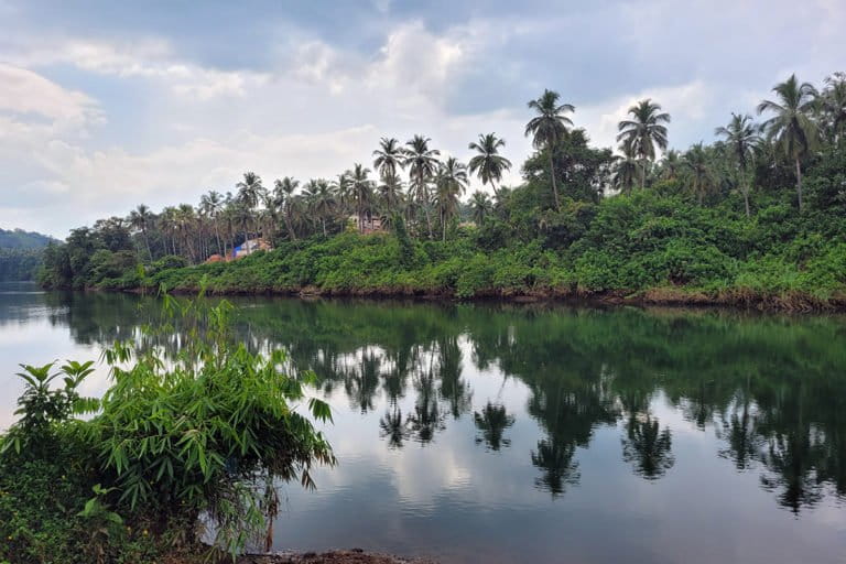 Peaceful river, Sal, by Mirabag Village in Sanvordem, the heart of South Goa's mining belt. Photo by Supriya Vohra/Mongabay.