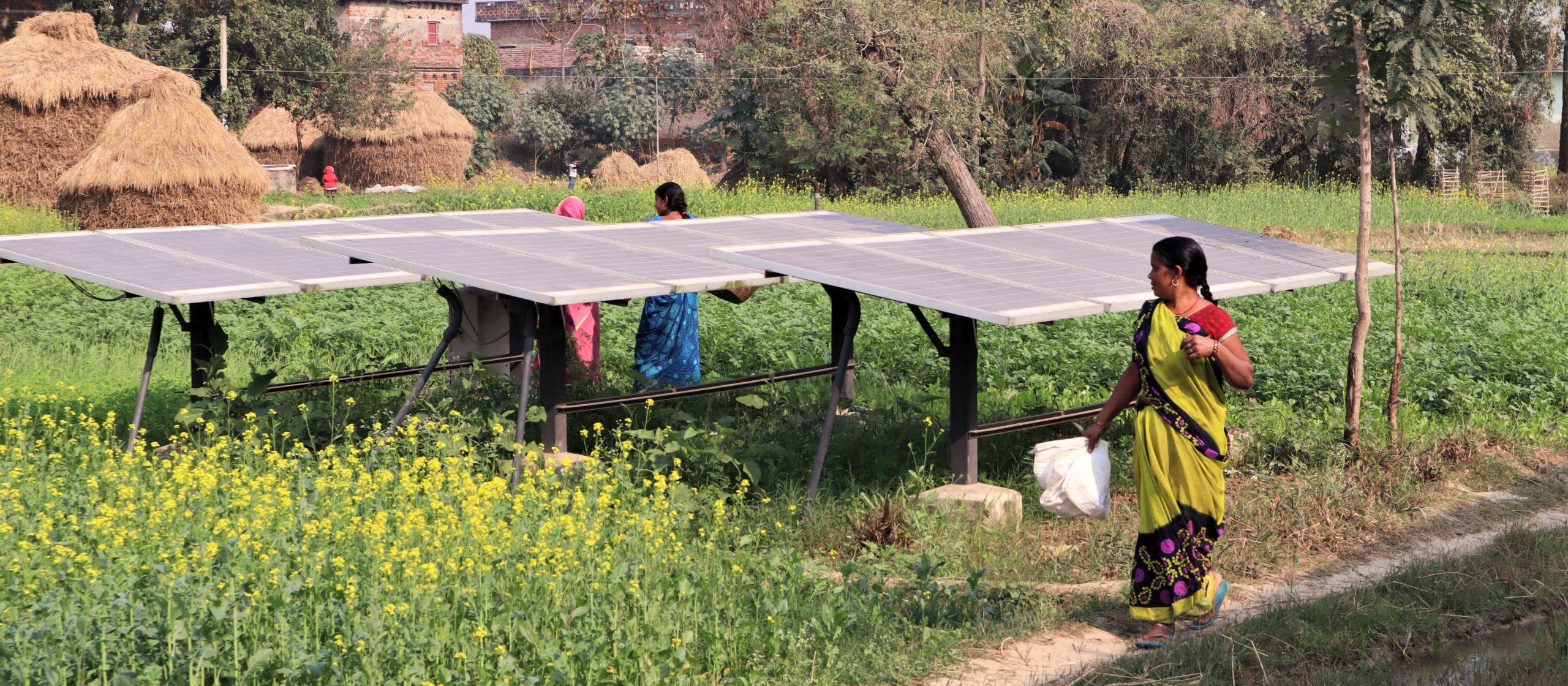 A solar water pump near Bela in Jehanabad district of Bihar. Photo by Manish Kumar/Mongabay.