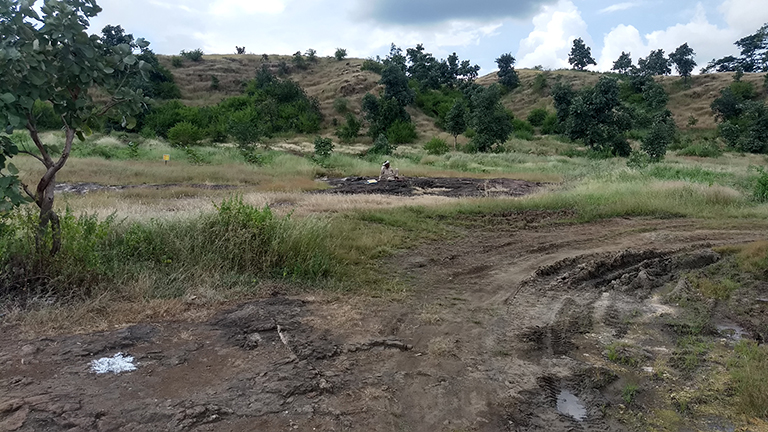 One of the most significant interventions is plantation and grassland development and protection activities in the upper catchment of Kundi Bhandara. Photo by Lokendra Thakkar