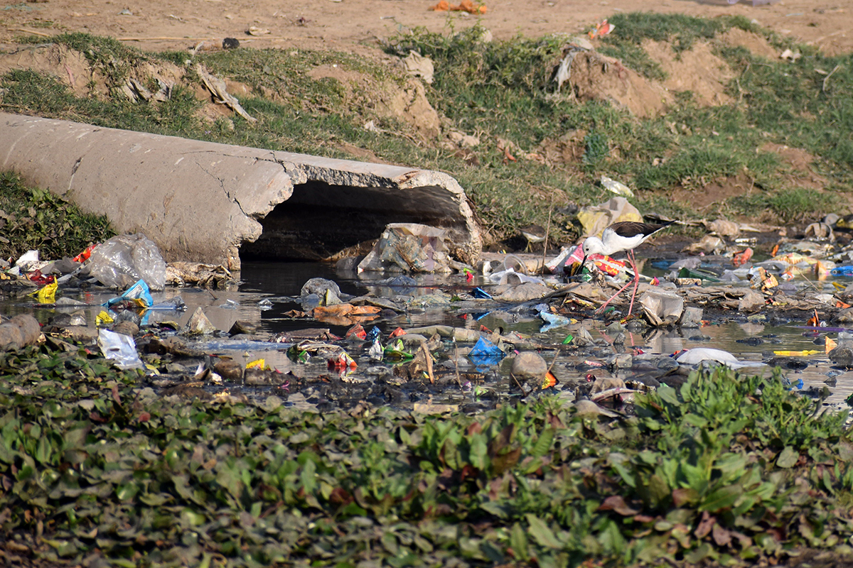 Delhi's wetlands are under continuous pressures of encroachments, conversion by construction activities and solid waste dumping. Photo by Prakhar Rawal.