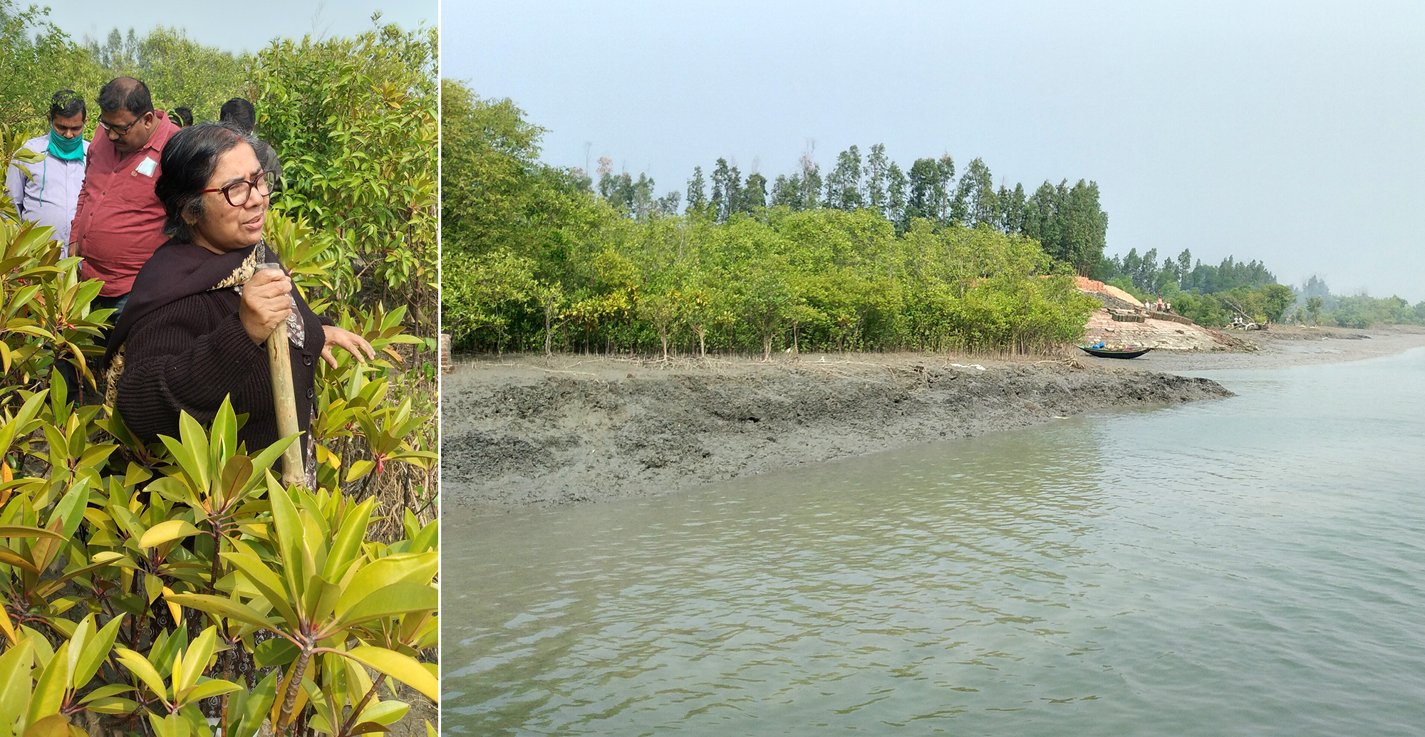 (L) Krishna Ray and team on the semi-restored Ramganga site in western Indian Sundarbans. (R) Approach to the Ramganga site. Photos by Sahana Ghosh/Mongabay.