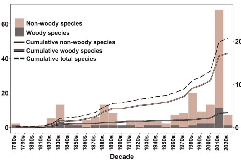 Indian peninsular Indian savannahs or grassland ecosystems contain 206 endemic plant species, of which 43% were described in the last two decades (post-2000). Graph from study.