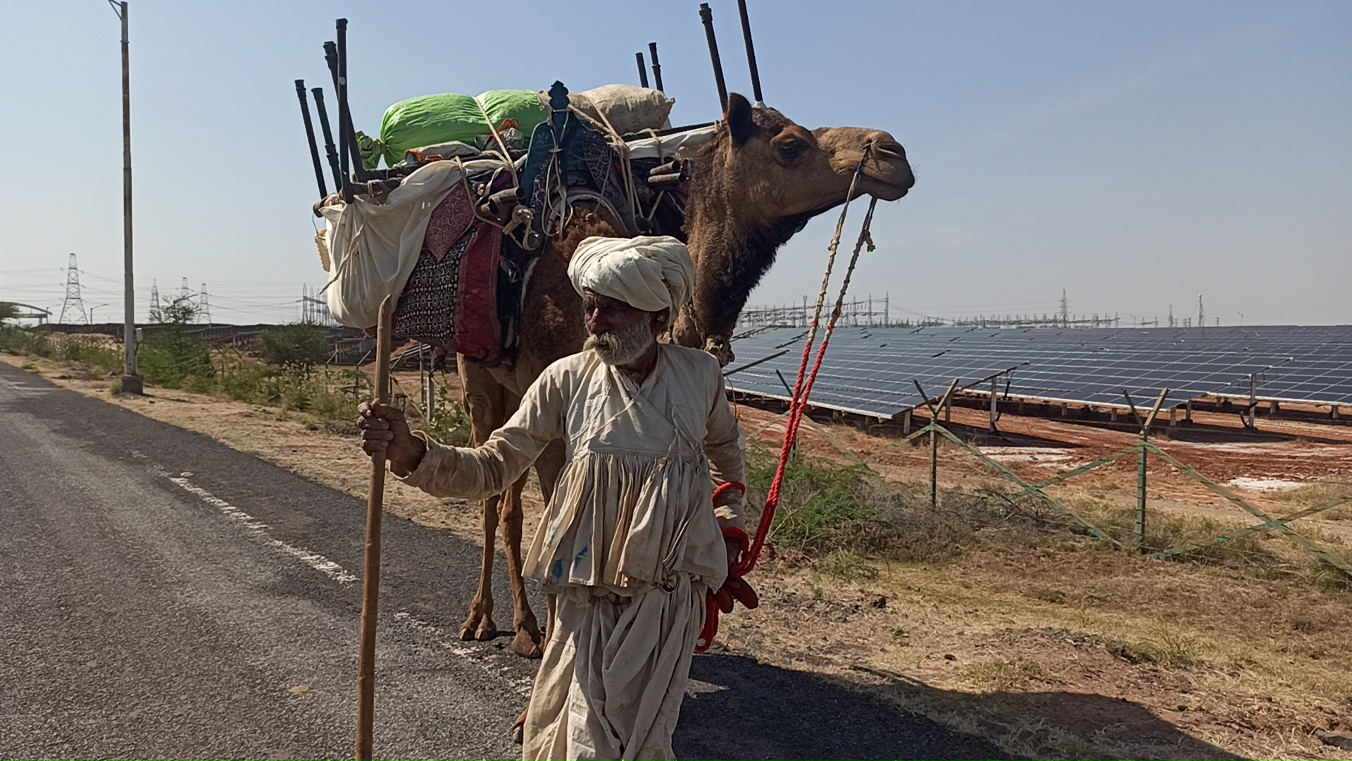 Maldhari going to Banaskantha. Photo by Ravleen Kaur.