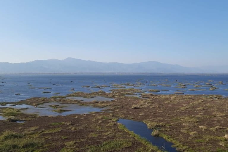 View of Loktak lake. Photo by Snigdhendu Bhattacharya/Mongabay.