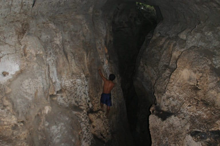 A limestone cave in the Andamans. Photo by SACON. 