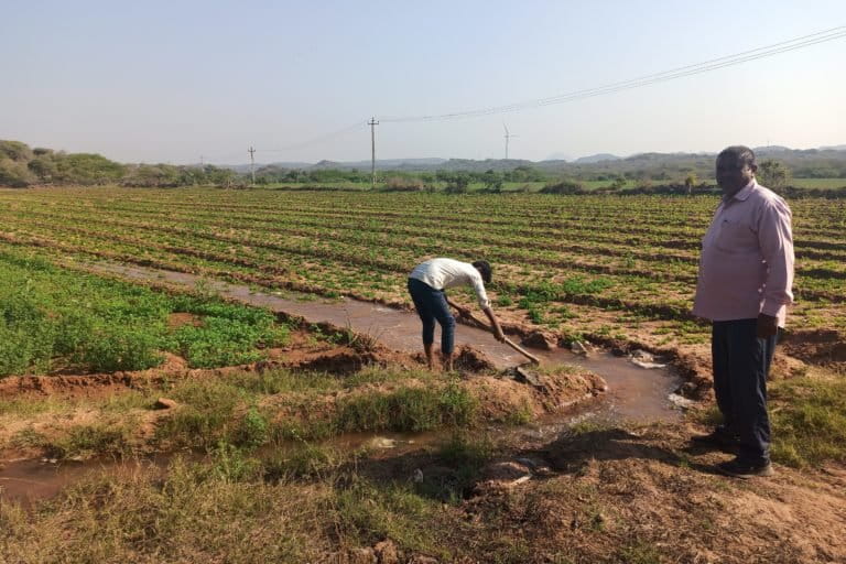 Watering groundnut fields. Sangnara depends mainly on agriculture and pastoralism for livelihood besides selling forest produce. Photo by Ravleen Kaur/ Mongabay.