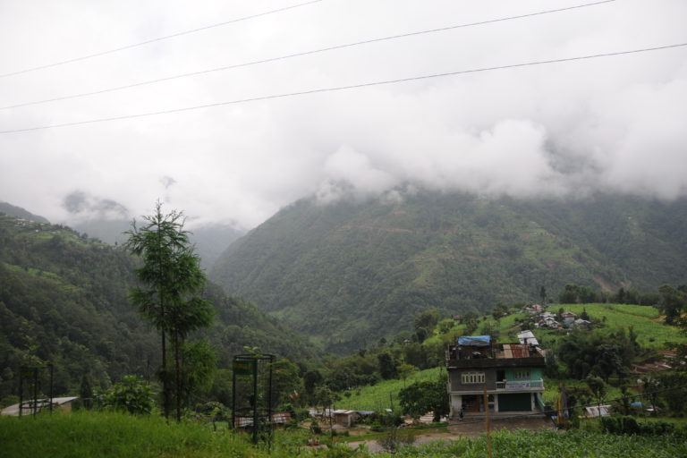 A village in Darap, Sikkim. Many villages in northeast India are carbon positive because they are centered around sacred forests and the practices of indigenous communities that enhance carbon sinks and prevent emissions from land degradation. Photo by 