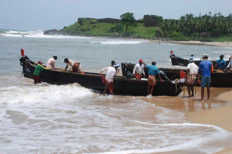 Fishers in Kerala. Predicting the marine heatwaves will also help the fishing communities. Photo by Frank Raj/ Pixabay. 