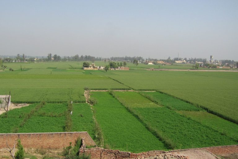 If the present rate of groundwater extraction for farming continues in Punjab, the state’s usable groundwater will vanish in 22 years according to the Central Ground Water Board. Photo by deepay/Wikimedia Commons.