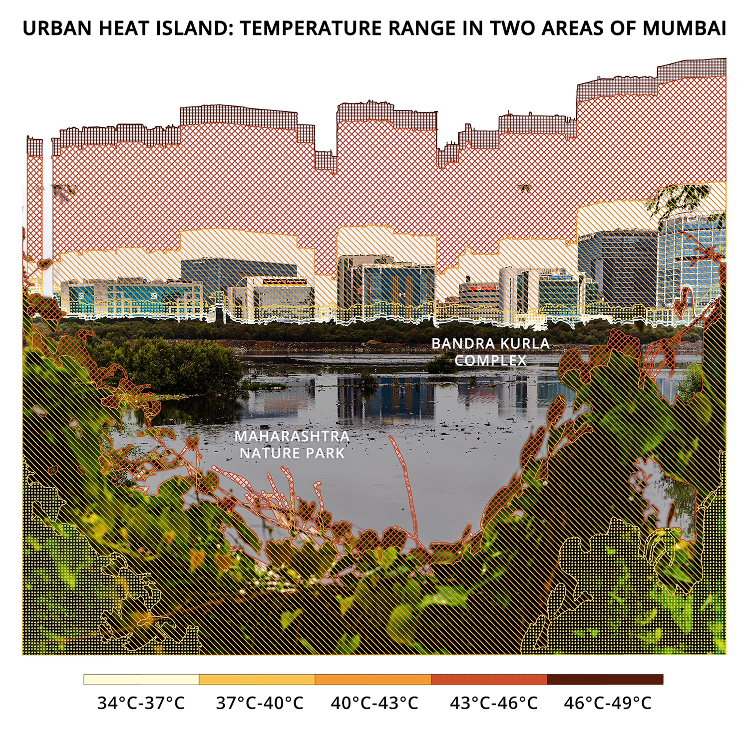 The minimum and maximum temperatures of two areas of Mumbai with varying physical characteristics were taken at 11 am on April 15, 2021. The illustration represents temperature ranges experienced by the percentage of an area. While the temperature ranges were similar for both neighbourhoods, Maharashtra Nature Park with its green cover is overall cooler with 84.61 percent of its area recording below 43 degree Celcius while 61.04 percent of Bandra Kurla Complex is hotter than 43 degree Celcius. Illustration by Alisha Vasudev. Illustration by Alisha Vasudev/Mongabay. Data sourced by Technology for Wildlife from Landsat 8 ST_B10 band, processed using Google Earth Engine.