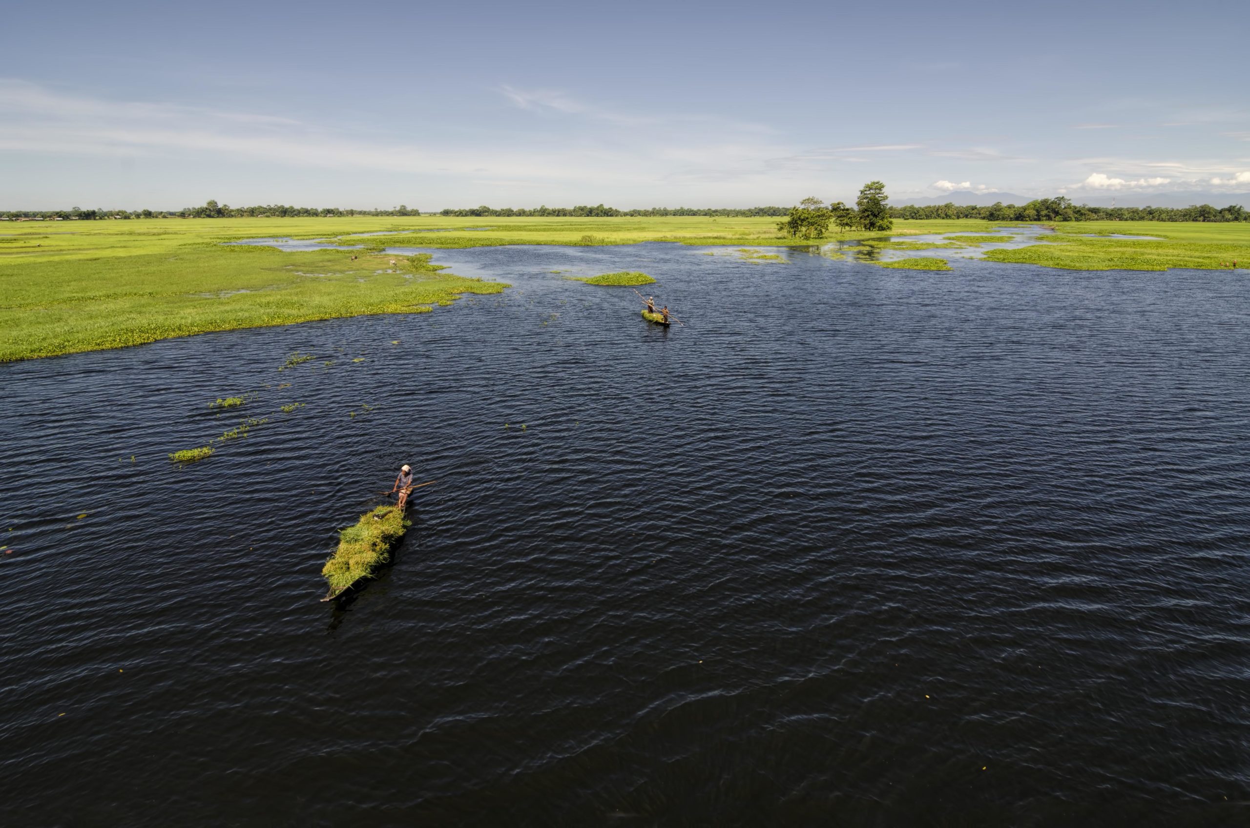 Wetlands near Doriya River of Majuli Island in North Eastern State Assam, India.