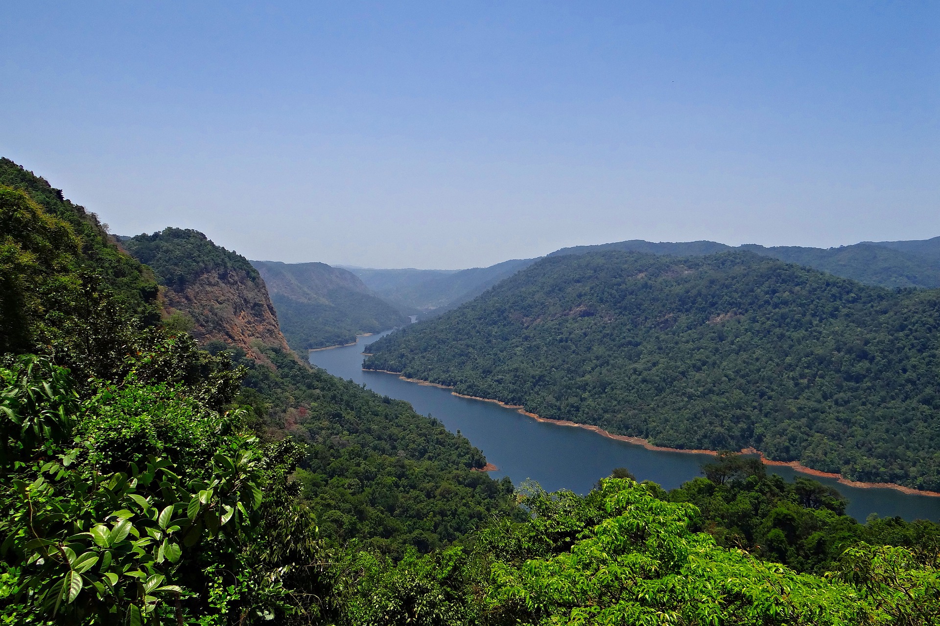 Sharavathi river bordered by forests on both sides. Photo by Sarangib/Pixabay.