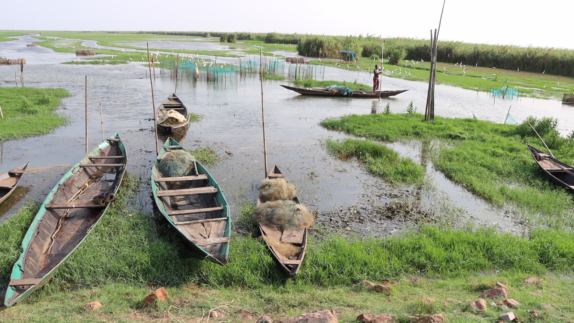 Strengthening the wetland ecosystem and generating livelihood options is seen as a possible solution to reduce the migration of youth to other cities for work. Photo by UNICEF