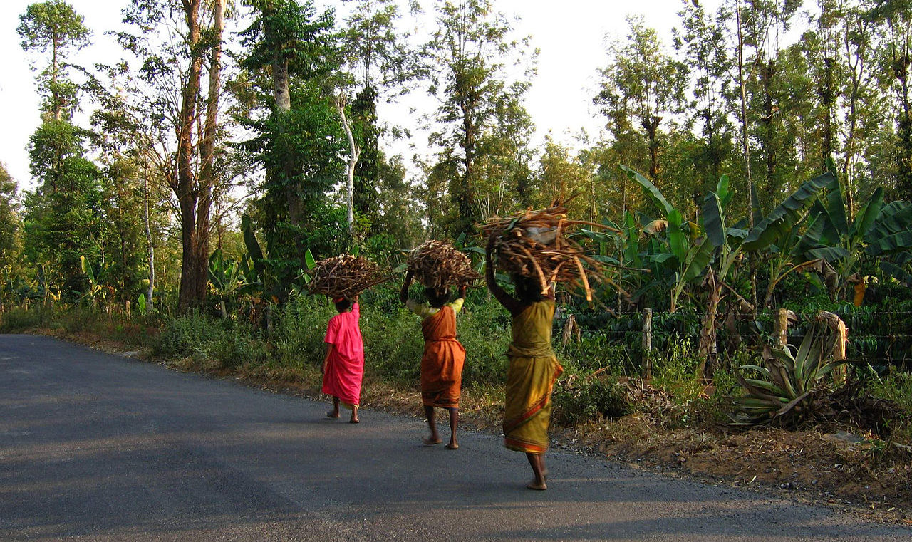 People carrying firewood. Photo by by Vinayaraj/Wikimedia Commons.