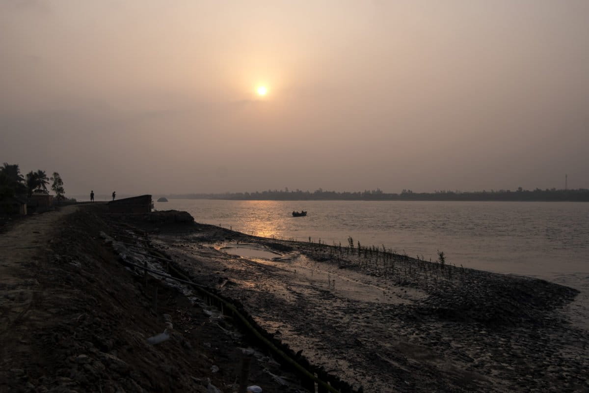 A mangrove plantation site near Pakhiraloy ferry ghat, Gosaba island. In the 15 years between 2007 and 2021, Sundarbans’ very dense mangrove cover (canopy density of more than 70 percent) has come down from 1,038 sq. km. to 994 sq. km. Photo by Subhrajit Sen/ Mongabay.