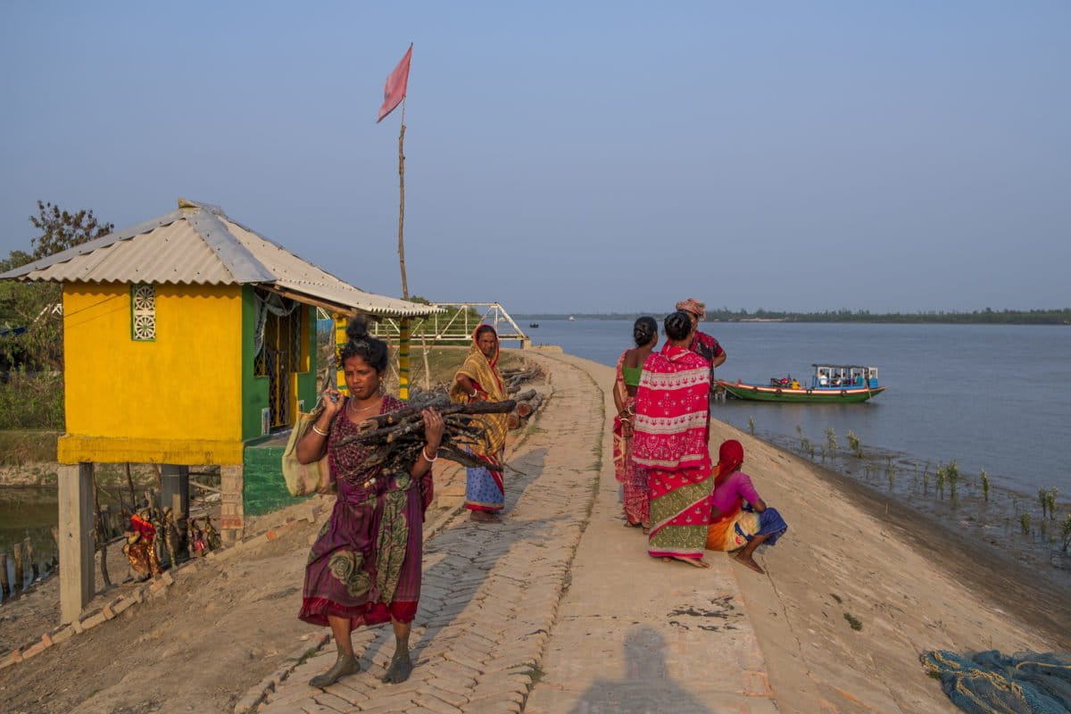 A woman returns from collecting the wood of the dead mangroves from the forest. Photo by Subhrajit Sen/ Mongabay.