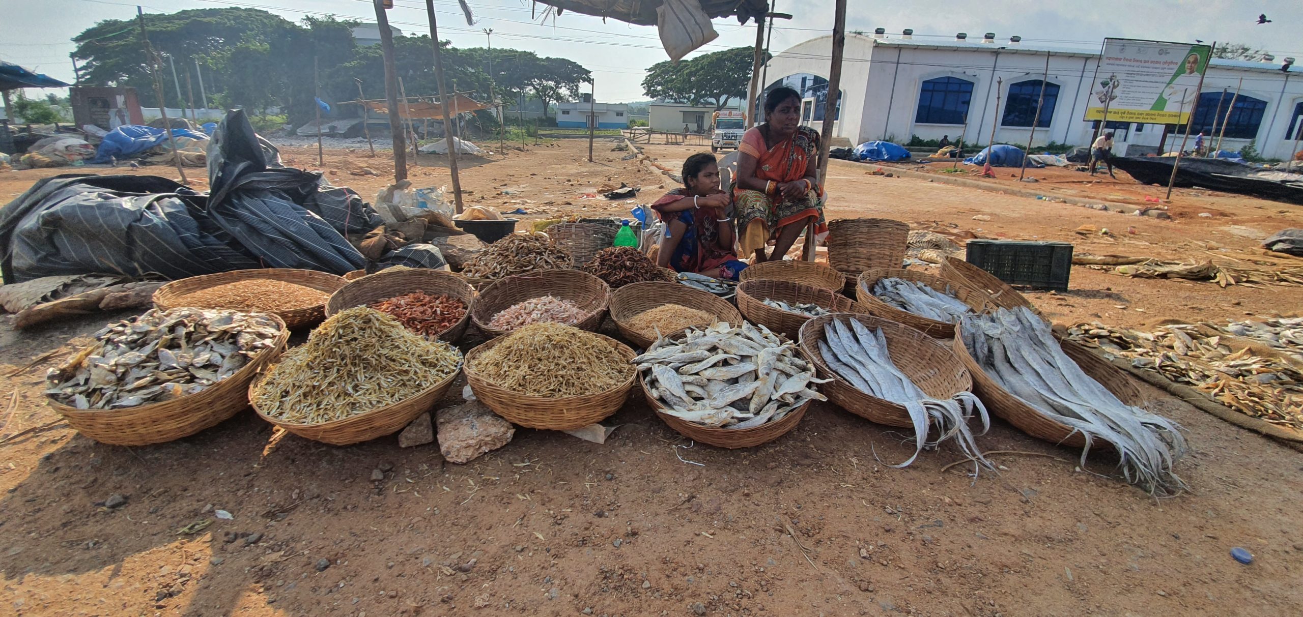 Women in Odisha selling dry fish.