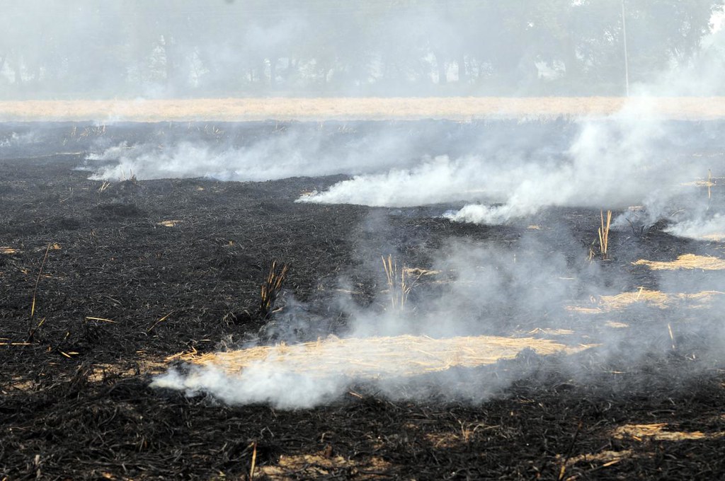 Stubble burning is back, smothering north India with concerns for the upcoming winter