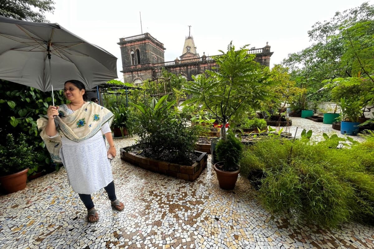 Teres Garden In Marathi Fasci Garden