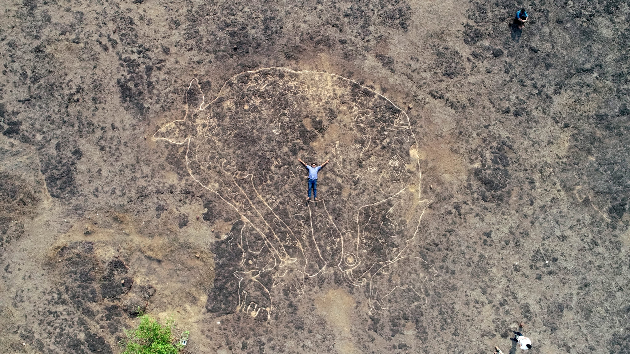 A huge rock art of an elephant in the district of Ratnagiri. The proposed crude oil refinery complex in the region poses threat to the heritage sites. Photo from Nisargyatri Sanstha.