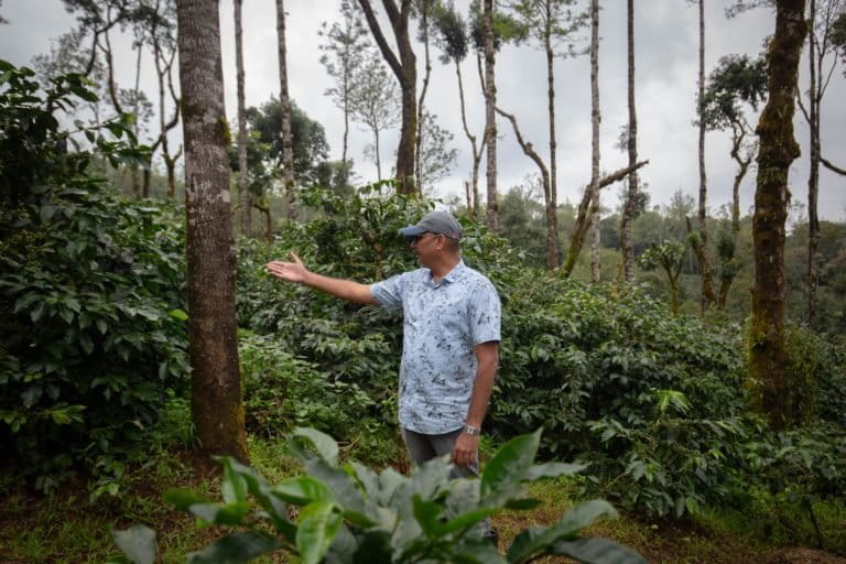 Image shows a man in a blue shirt pointing at a tree