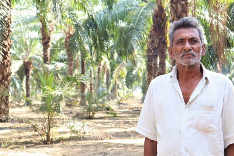 Samnini Nageshwar Rao, an oil palm farmer at Medepally village in Khammam district of Telangana. Photo by Manish Kumar/Mongabay