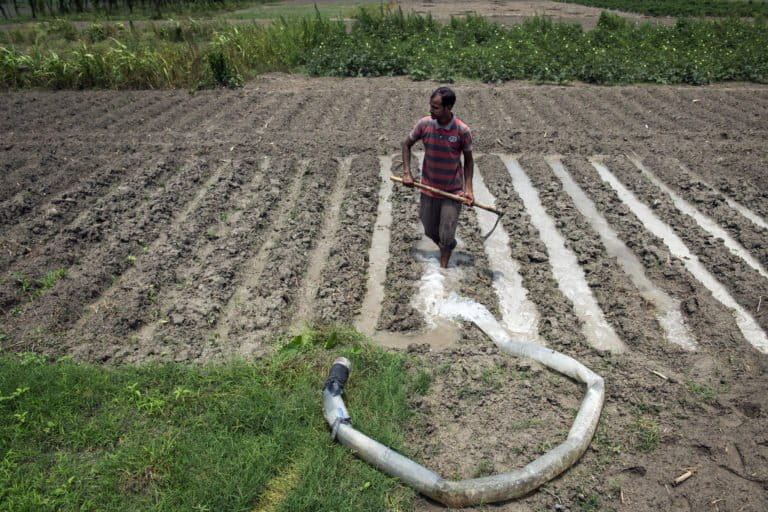 Image shows a man watering his farm