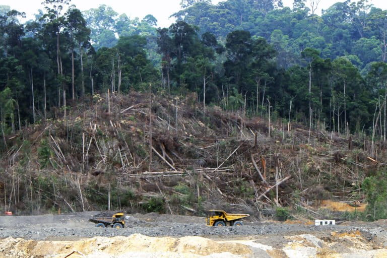 Deforestation in Borneo. The draft GBF aims to reduce funding for harmful activities that impact biodiversity. Photo by Andrew Taylor - WDM/Flickr.