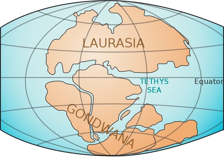 The tethys sea. Photo by Lennart Kudling/Wikimedia Commons.