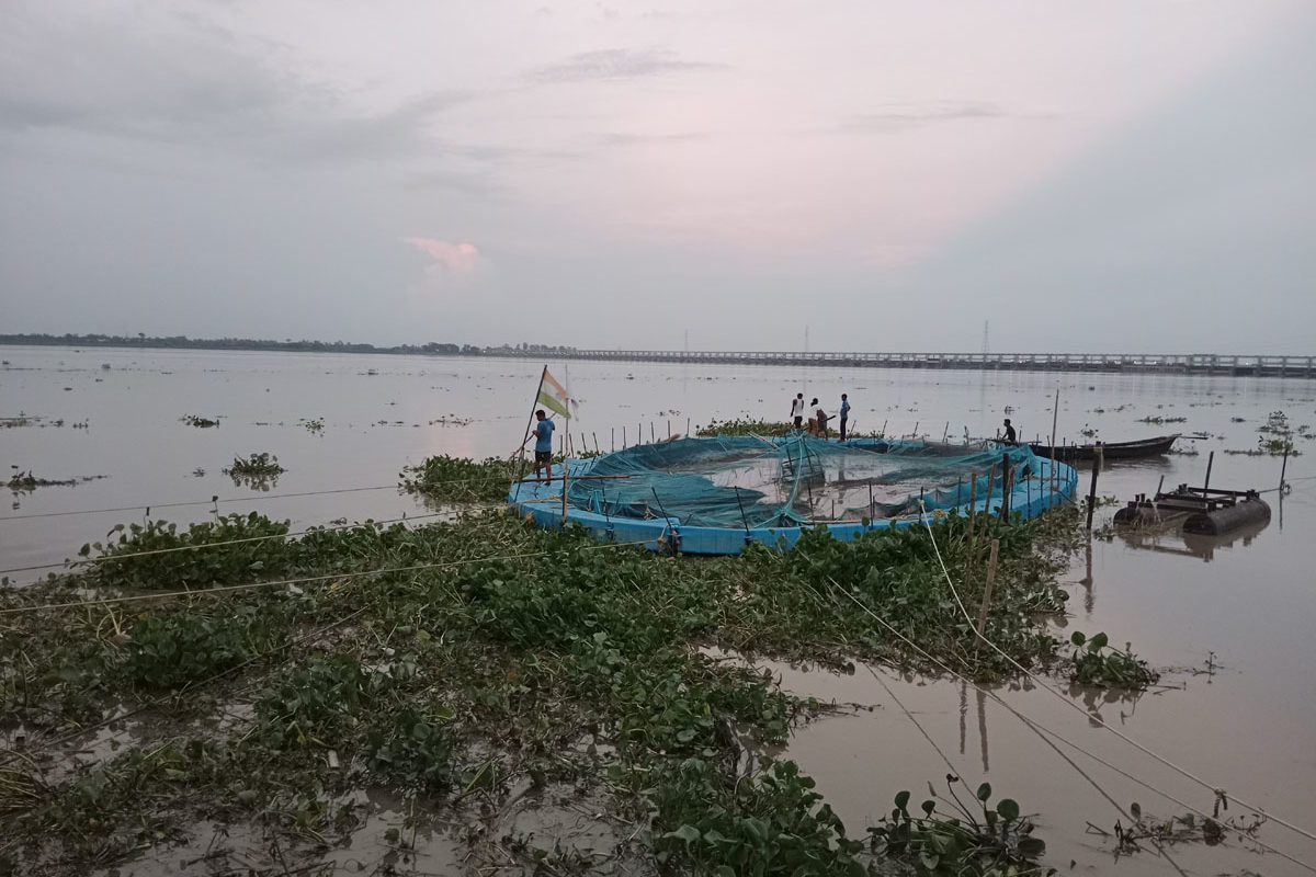 Hilsa Breeding Center at Farakka. The hatchery has been built upstream by taking in possession of two ponds from the authorities. Photo by Rahul Singh.