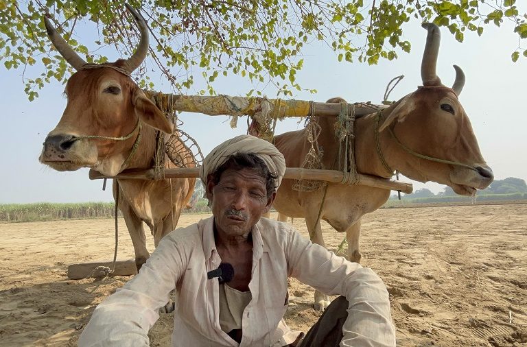 To support his family of 10 people, Govardhan does contract farming on five acres of land. In the last 2-3 years, he has faced crop loss due to climate change several times. Photo by Arvind Shukla