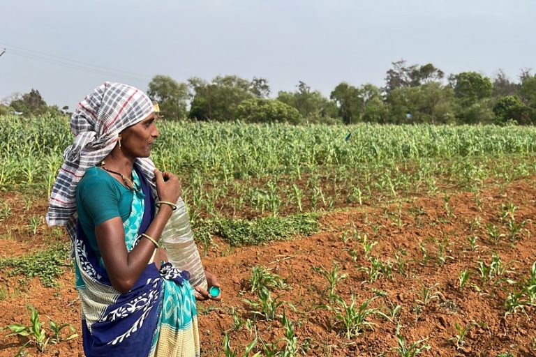 A woman farmer in the Satara district of Maharashtra. Two-thirds of India's cultivable land is rainfed. Thus, there is a direct effect on agriculture in case of less or more rain. Photo by Arvind Shukla.