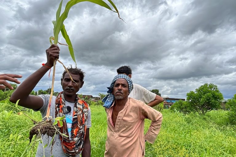 Between 2016-2021, due to extreme weather events such as floods, droughts, cyclones, untimely rains, and landslides in India, crops were damaged over an area of 36 million hectares. Photo by Arvind Shukla.