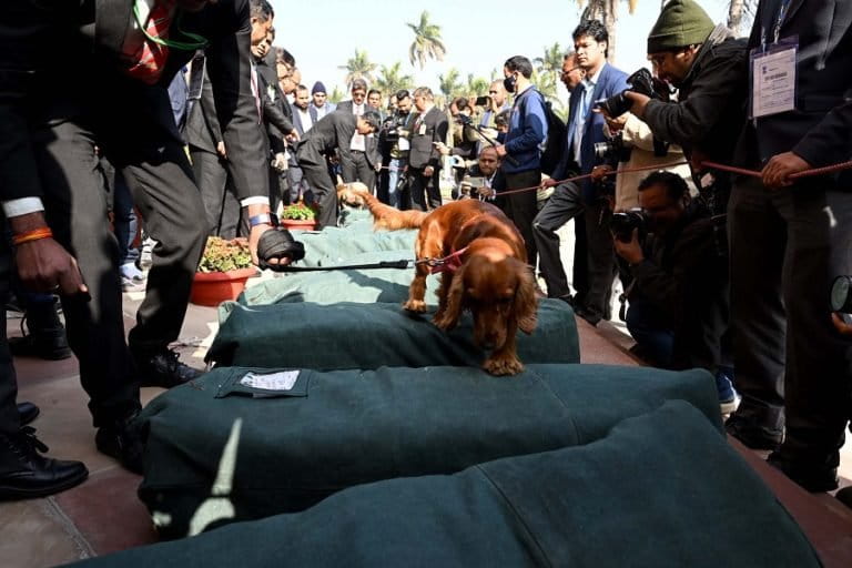 Union Budget documents brought in the Parliament House premises under security, in New Delhi on February 01, 2023. Photo by PIB.