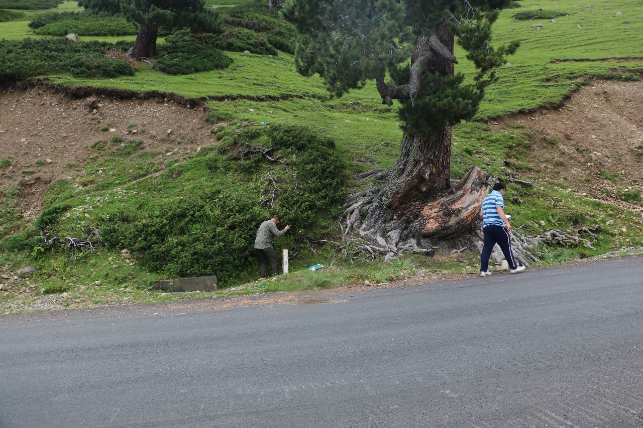 Scientists surveying mountain roads in Kashmir. Photo by Pervaiz Dar/Mongabay