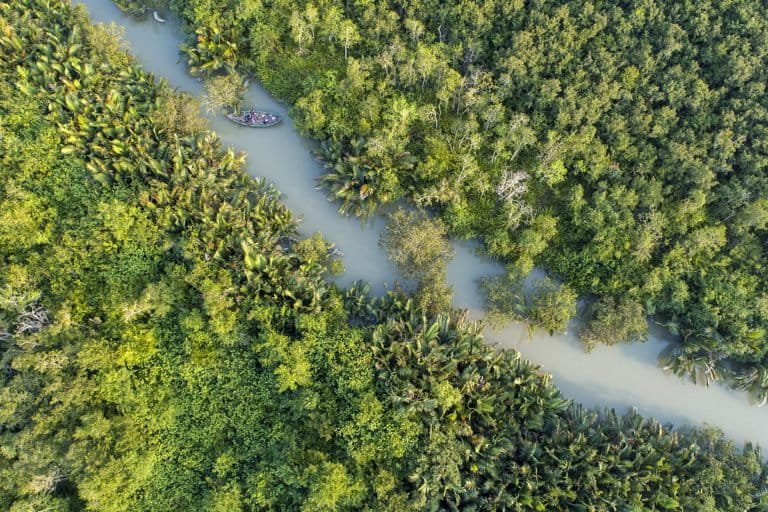 Image shows an aerial view of Sundarbans