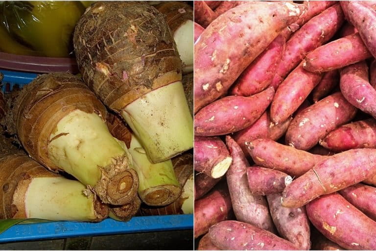 (Left) Taro. Photo by Susan Slater/Wikimedia Commons. (Right) Sweet potato. Photo by Project Manhattan/Wikimedia Commons.