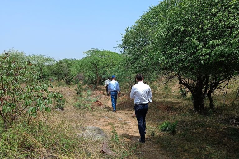 A landscape under restoration at Asola Bhatti Wildlife Sanctuary. Photo by Saurab Babu.