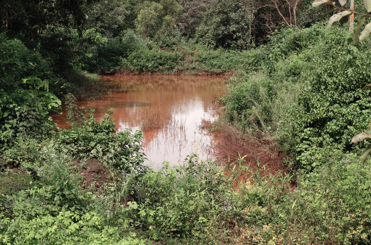Bauxite mining in Jharkhand is impacting soil fertility, people's health