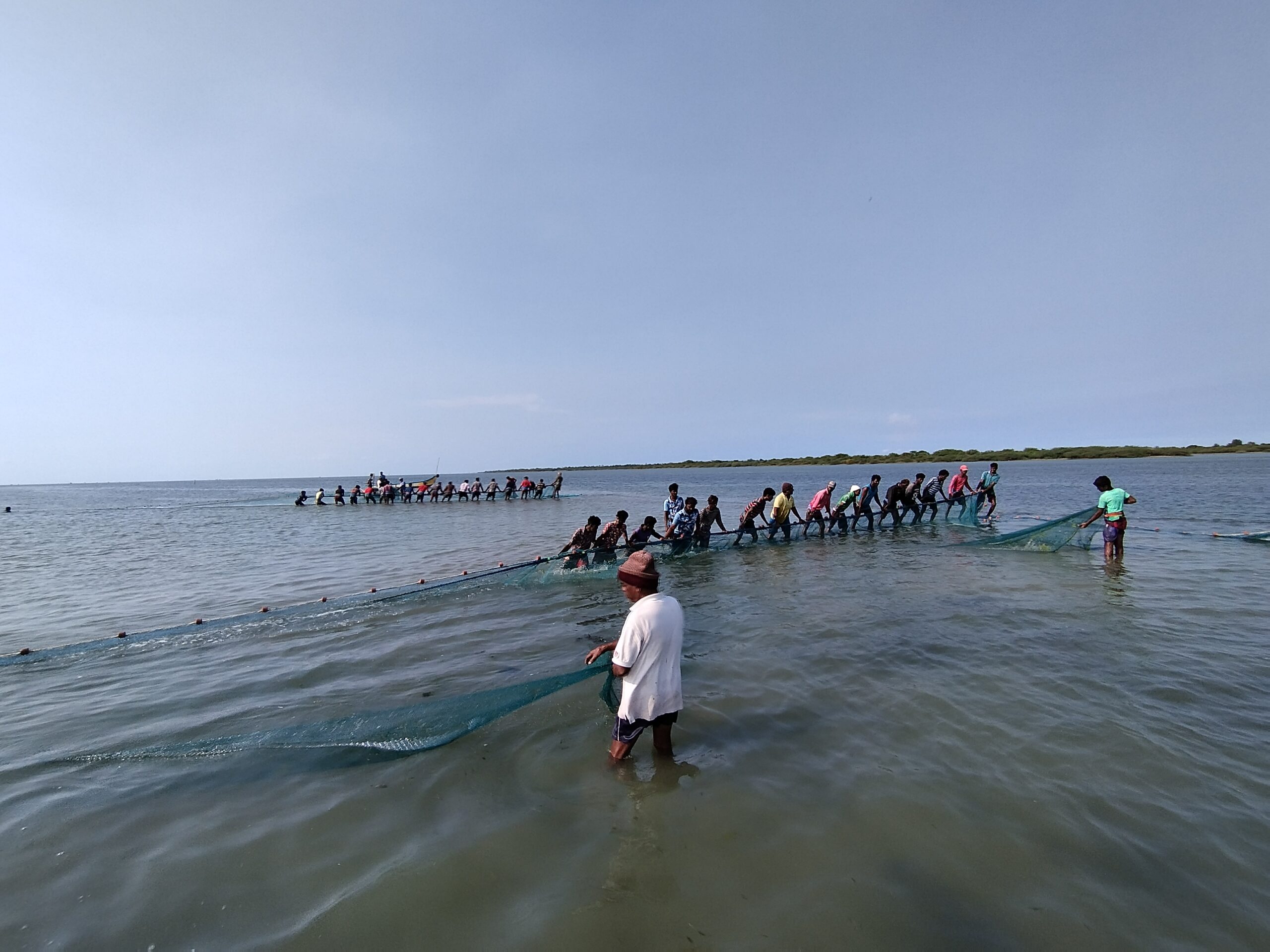 Fishermen engaged in seine net fishing at the Pulicat lagoon. Photo by Xavier Benedict/ AARDE Foundation.