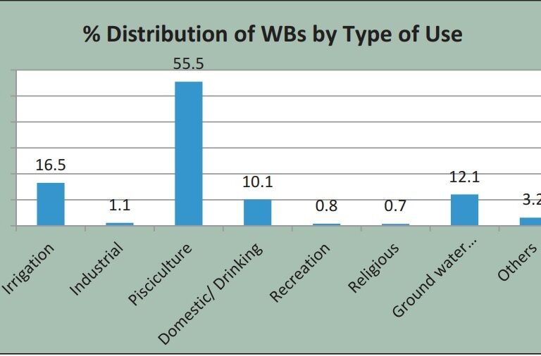 Usage of water bodies for different purpose. Photo by First Census Report of Water Bodies by Ministry of Jal Shakti.