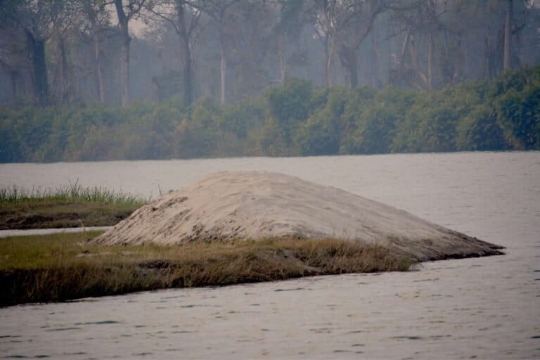 An artifical sandbank created at KWS to boost gharial numbers. Photo by Gaurav Vashistha.