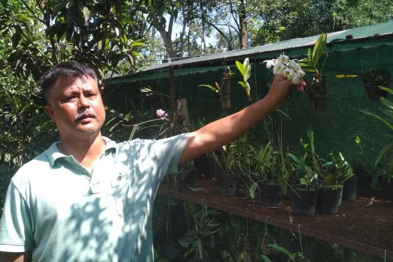 Image shows a man standing next to flowers