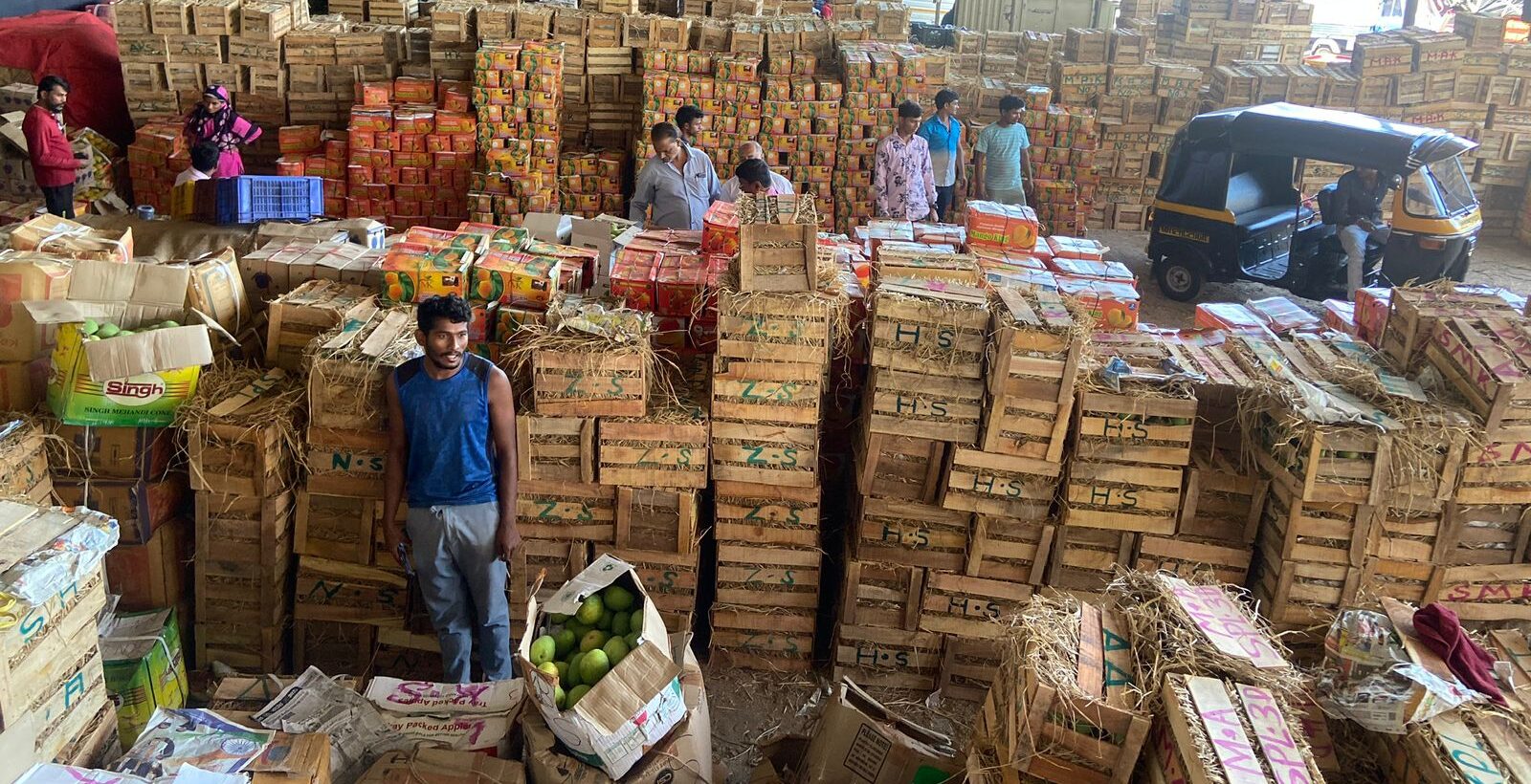 A busy day in Pune's APMC with boxes of mangoes arriving from Kaonkan and Karnataka. Photo by Hiren Kumar Bose.
