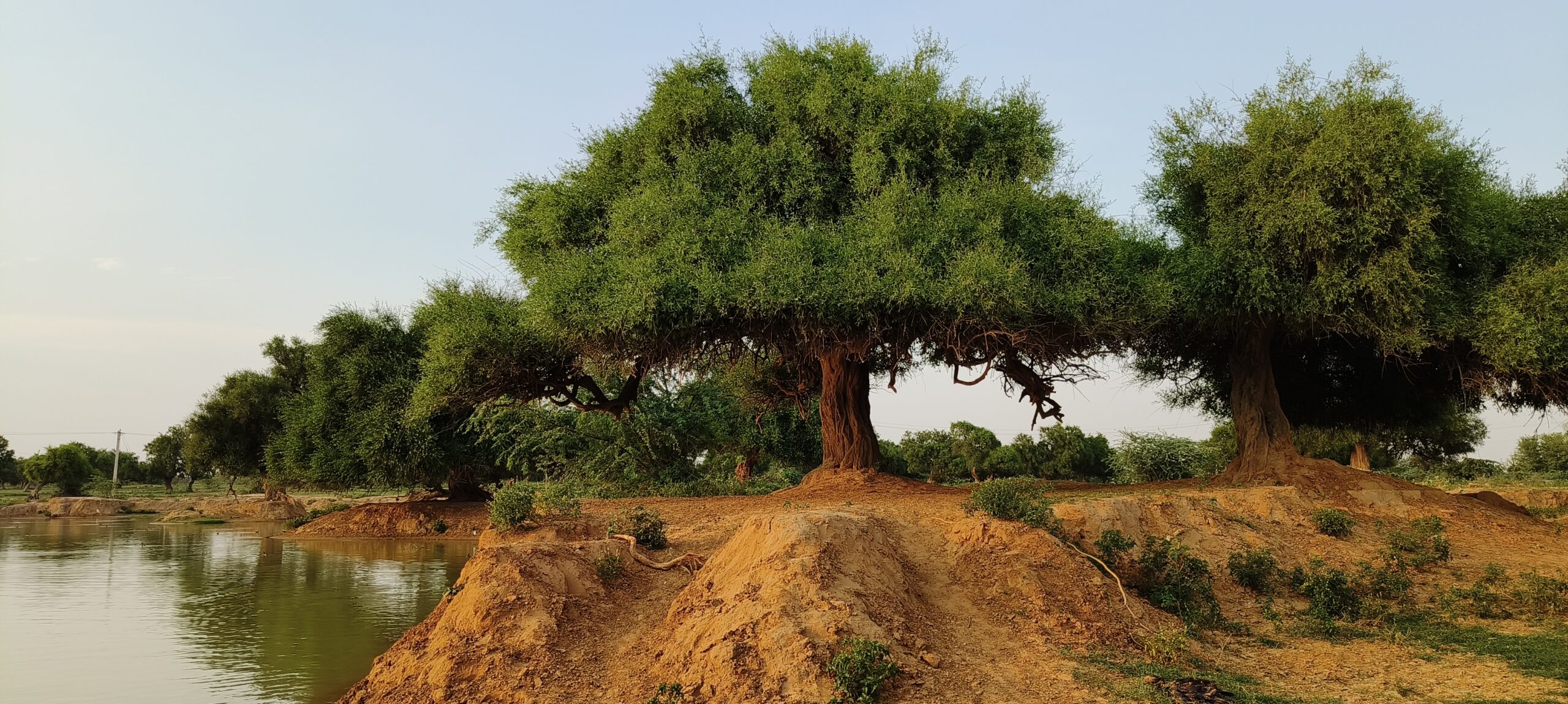Your Environment This Week Sikkim's water woes, protecting centuries
