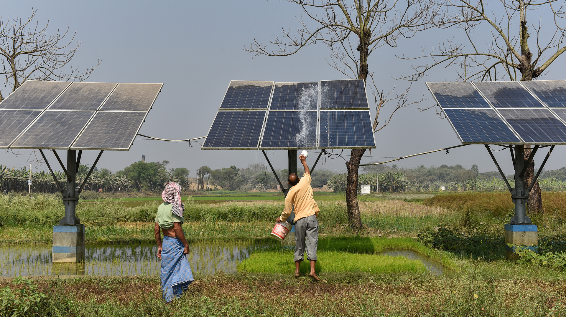 Hybrid irrigation pumps powered by both electricity and solar panels from the Rashtriya Krishi Vikash Yojna (RKVY) scheme has enabled uninterrupted water supply for irrigation to the farmers. Photo by Subhrajit Sen/Mongabay