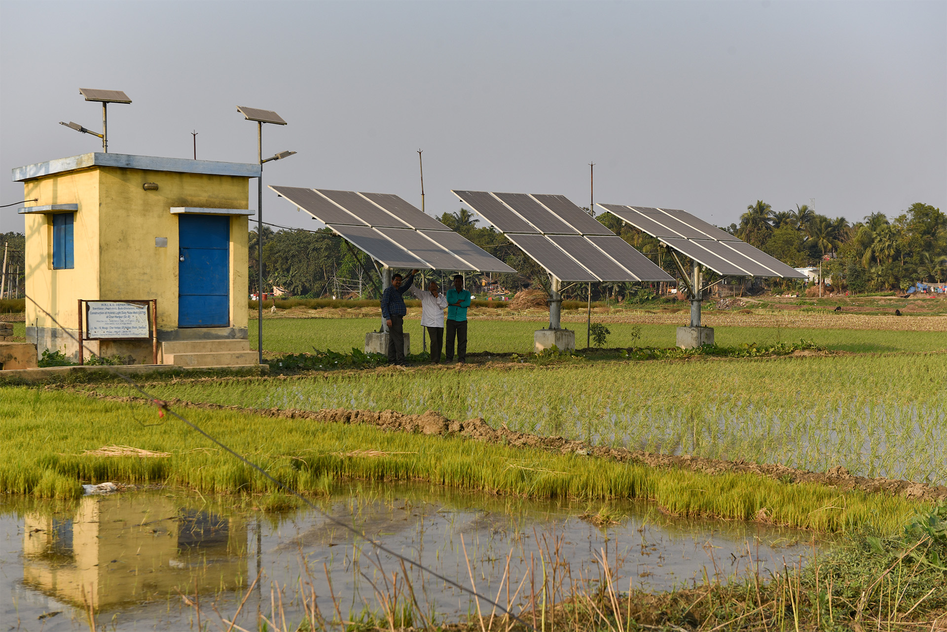 Solar Panels installed in a field in Nadia district, West Bengal. Photo by Subhrajit Sen/Mongabay 