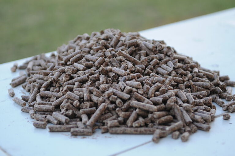 Image shows a small heap of pellets