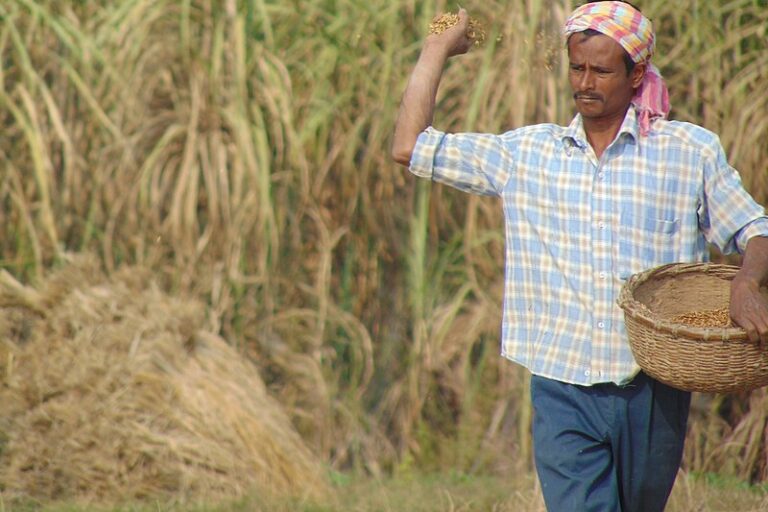 Image shows a man throwing seeds on a farm